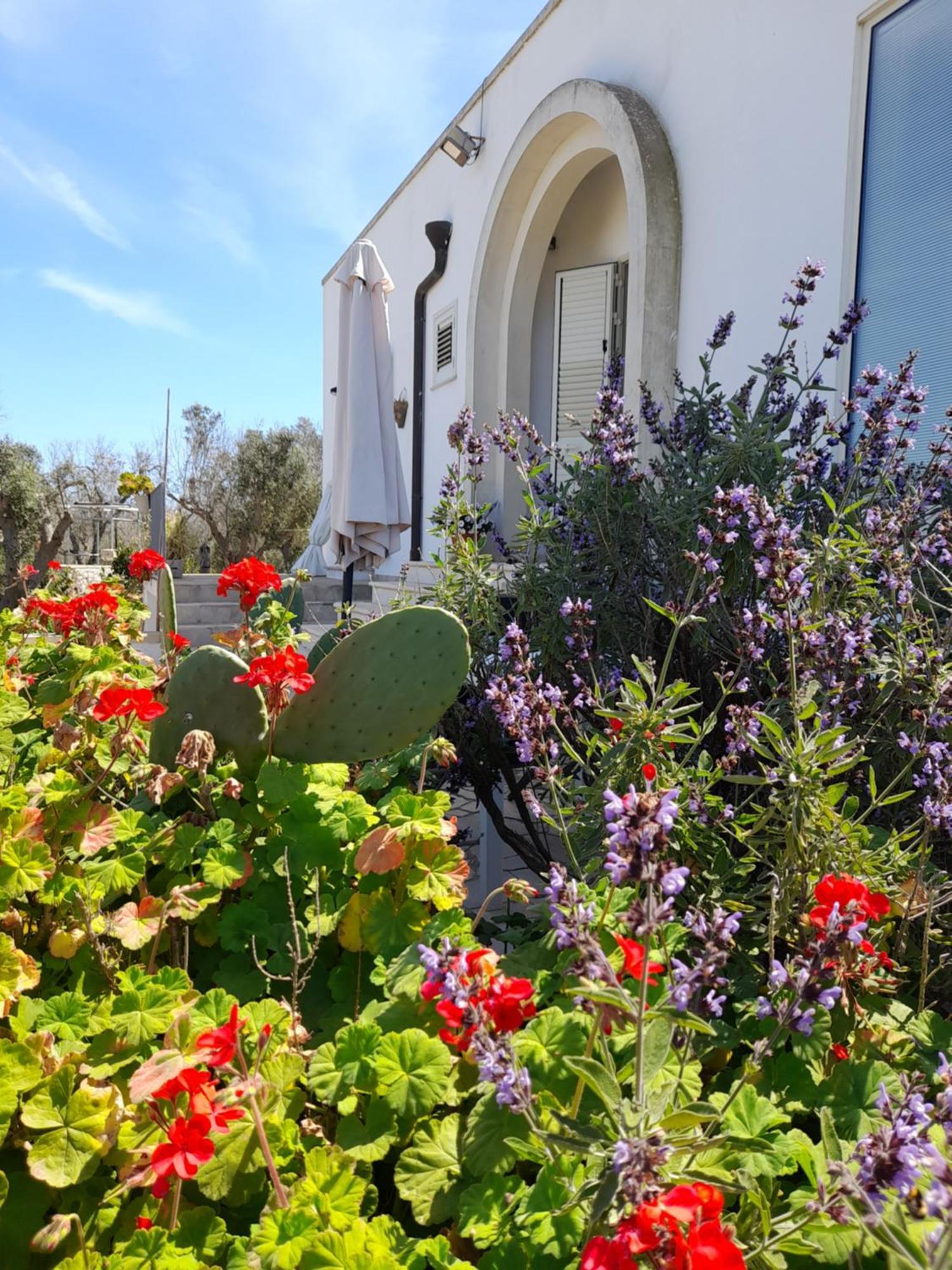 Tenuta Valle Dell Idro Otranto Con Piscina Casamassella Exteriör bild