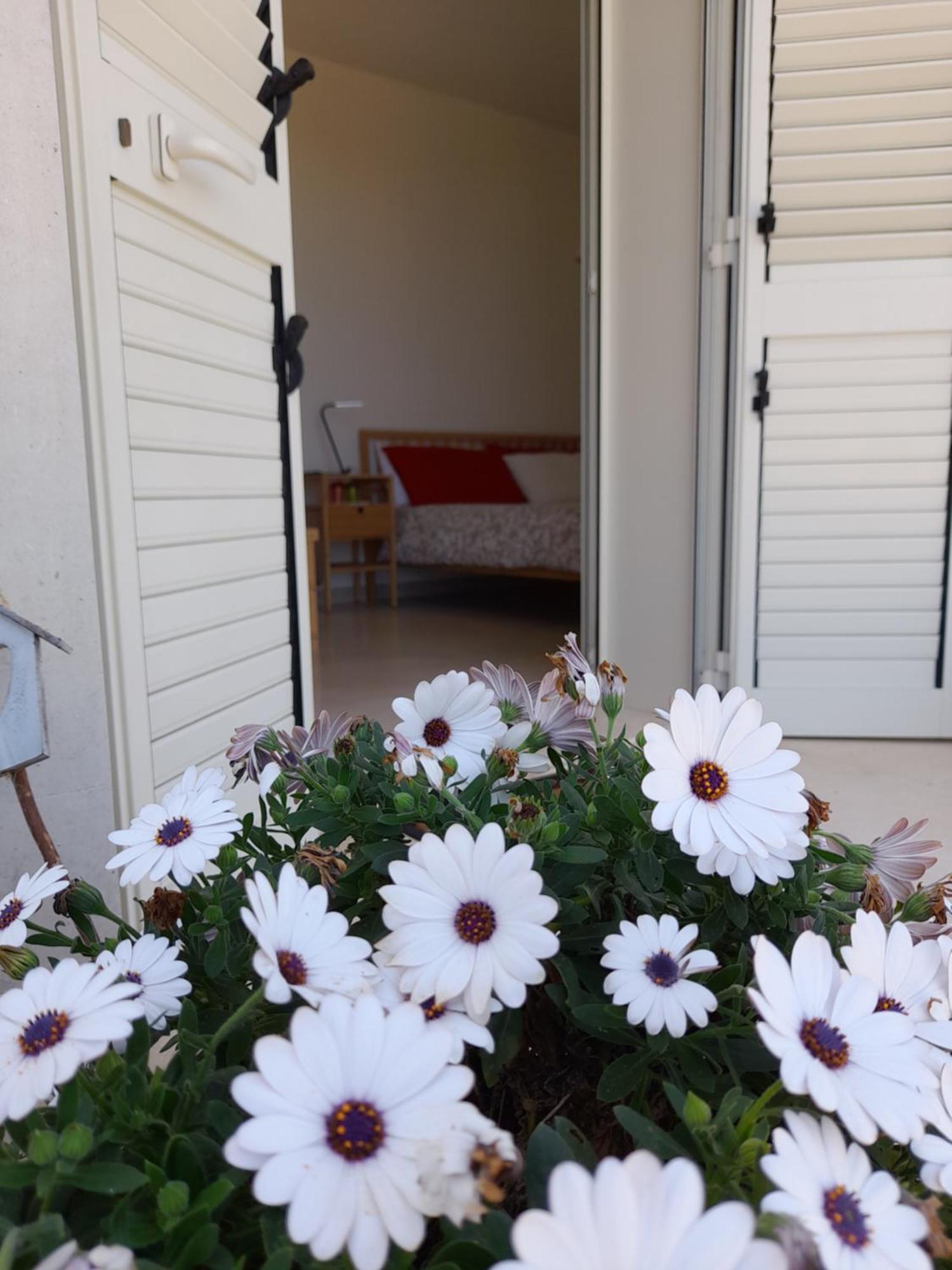 Tenuta Valle Dell Idro Otranto Con Piscina Casamassella Exteriör bild