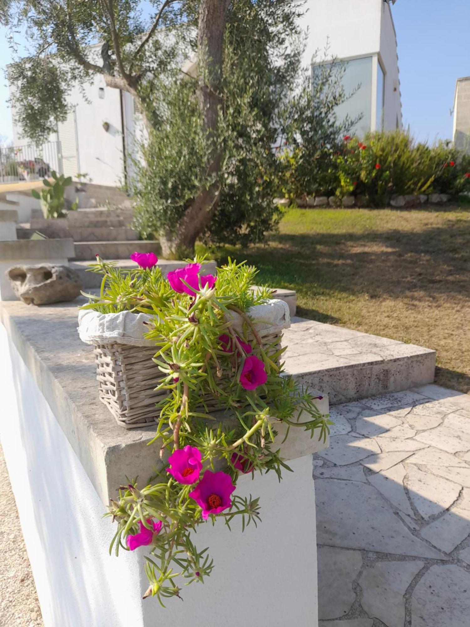 Tenuta Valle Dell Idro Otranto Con Piscina Casamassella Exteriör bild